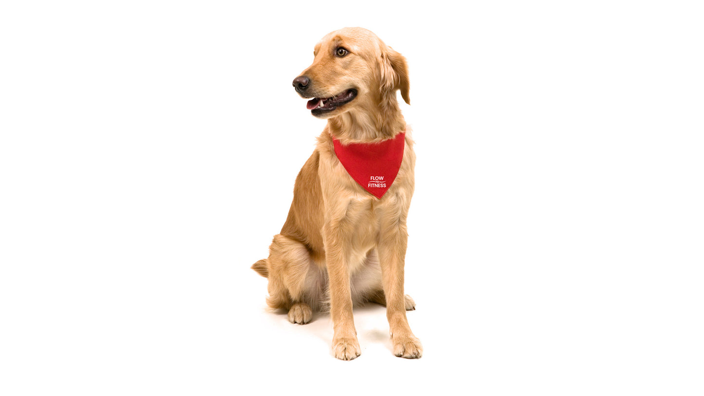 Roco Bandana Necklace