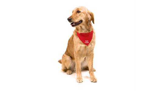 Roco Bandana Necklace