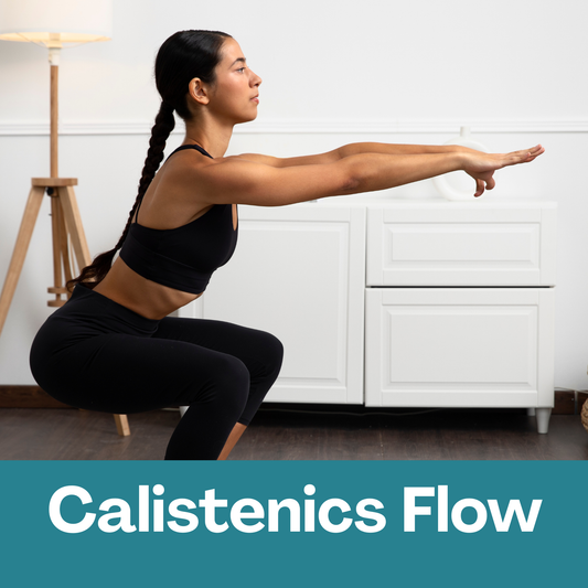 Treino Online de Calistenia