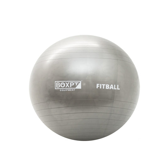 Fitball 65cm